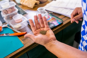 Cook holds cumin seeds. Master class in the kitchen. The process of cooking. Step by step. Tutorial. Close-up
