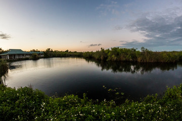 Fototapeta na wymiar Landscape view of Everglades National Park during the sunset (Florida).