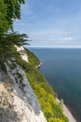 Fototapeta premium Kreidefelsen 9