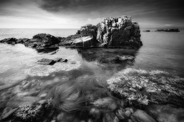 Obraz premium Rocks in Hovs Hallar-Sweden