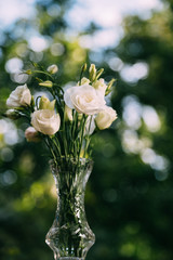 A bouquet of fresh white roses on a green blur background in a small vase sunny day. Bunch of flowers