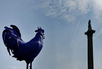 Blue cock of Trafalgar Square London in 2013