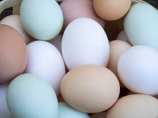 A group of ecological eggs of various colors, white eggs, blue eggs and brown eggs