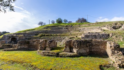 The garden of olives 