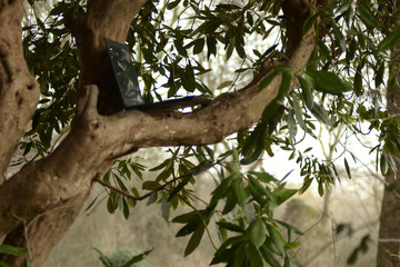 Laptop in the countryside