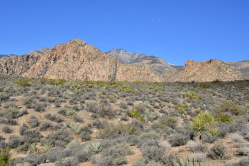 Fototapeta na wymiar Red Rock Canyon in Las Vegas, Nevada.