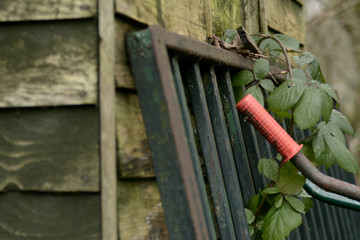 Wheelbarrow leans on wooden rustic shed in countryside garden