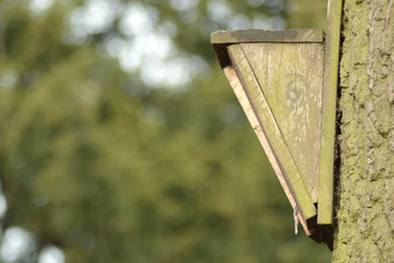 Bird house on a tree