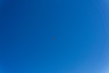 small helicopter on the blue sky