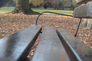 Park bench in autumn