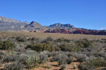Red Rock Canyon in Las Vegas, Nevada.
