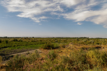 Steppe in Uzbekistan on a Sunny day with clouds with a trail and a narrow strip of mountains on the horizon.