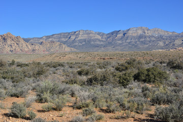 Red Rock Canyon in Las Vegas, Nevada.