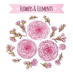 Set of illustrations with flowers. Freehand drawing