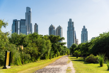 Obraz premium View at skyscrapers in Puerto Madero business district in Buenos Aires from the National Costanera Natural Reserve 