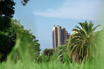 Urban, bright landscape against the backdrop of palm trees and forests. Stone jungle