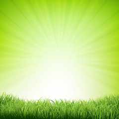 Obraz premium Summer Poster With Grass Border