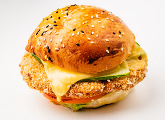 burger on the white background