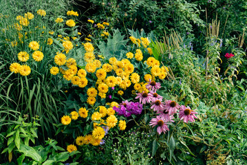 summer garden with nice flowers