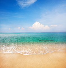 beach and beautiful tropical sea