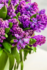 bright hyacinth flowers in the vase