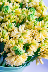 bright hyacinth flowers in the vase