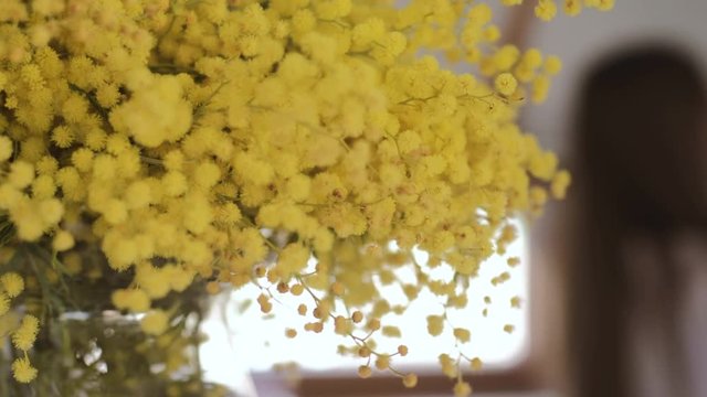 Close  yellow bouquet of mimosa in a glass vase in the house. Blurred girl in the kitchen is cooking