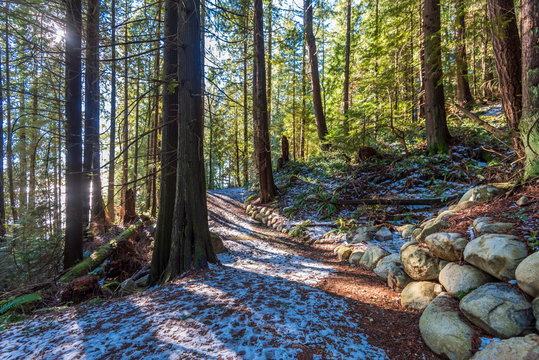 Fragment of winter trail in park in West Vancouver, Canada.