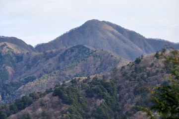 大界木山より望む大室山