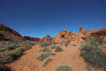 RED ROCK CANYON