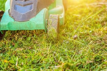 Fototapeta na wymiar Lawn mower cutting green grass in backyard in sunny day. Gardening country lifestyle background. Beautiful view on fresh green grass lawn in sunlight, garden landscape in spring or summer season