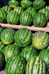 watermelons on display at market