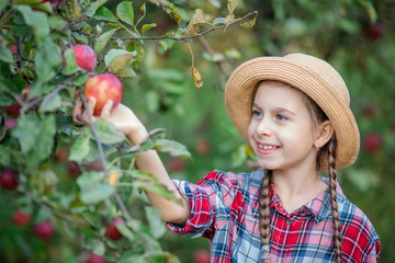 Portrait of a cute girl in a farm garden with a red apple.