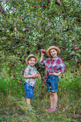 Portrait of a brother and sister in the garden with red apples.