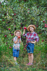 Portrait of a brother and sister in the garden with red apples.