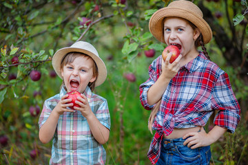 Portrait of a brother and sister in the garden with red apples.