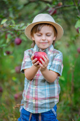 Portrait of a cute boy in the garden with a red apple.