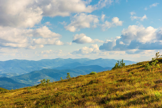 mountain scenery in summer afternoon. fluffy clouds on a blue sky above the distant ridge. grassy alpine meadow on a hill. beautiful carpathian landscape in evening light