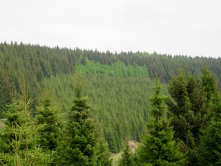 Schwarzwassertal Wanderung