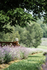 Men sitting in a bench of a lavender field