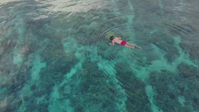 Snorkler swimming in blue ocean, aerial