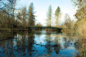 Fototapeta premium Oregon Life 