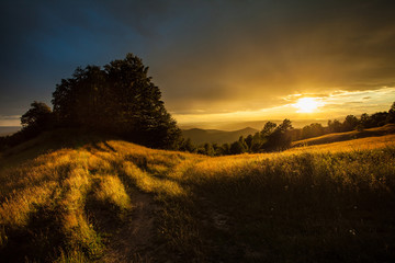 Fototapeta na wymiar Beautifull grass land landscape at sunset