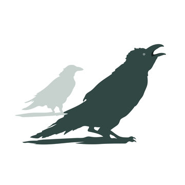 Crows sitting, cawing graphic