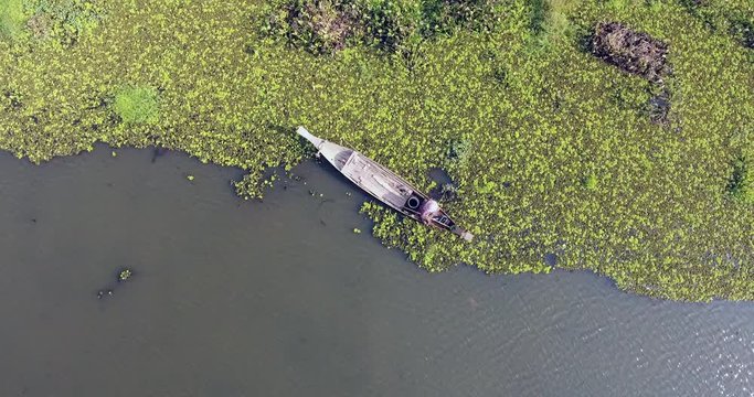 overhead drone shot of a woman sitting at the bow of his dugout canoe using a hand net to catch crabs in a pond