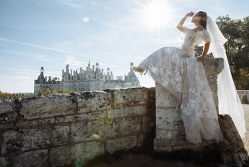 Obraz premium Beautiful bride in amazing dress with a long bridal veil posing against the backdrop of a beautiful castle in France