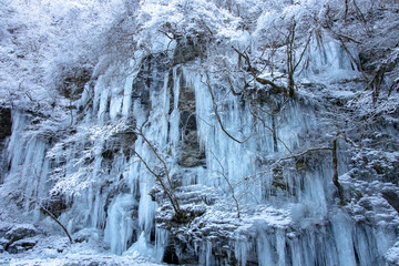 三十槌の氷柱