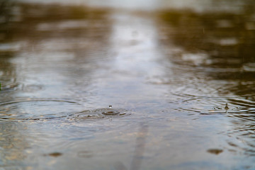 Dancing raindrops