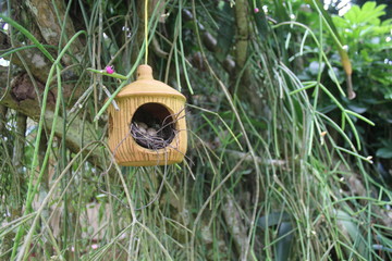 bird house