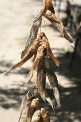 Salted dried bullheads hanging on the ropes on the street market in the south of Ukraine